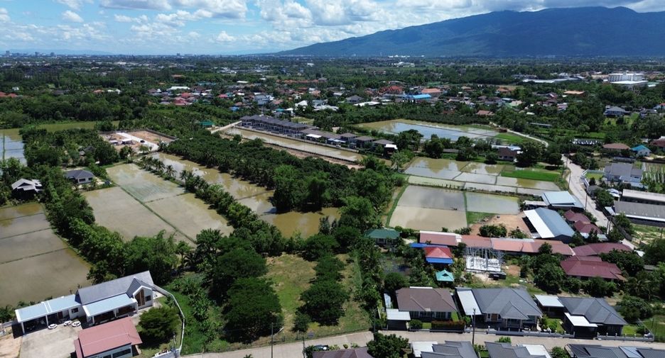 出售 土地 在 San Sai, Chiang Mai