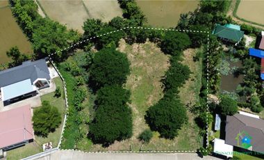 For sale land in San Sai, Chiang Mai