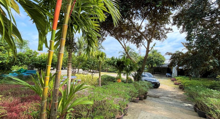 For sale 7 bedrooms house in Takua Thung, Phang Nga