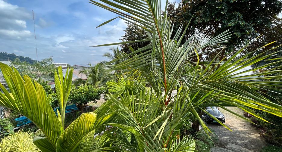 For sale 7 bedrooms house in Takua Thung, Phang Nga