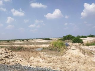For sale land in Dan Khun Thot, Nakhon Ratchasima