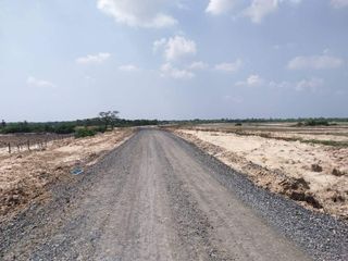 For sale land in Dan Khun Thot, Nakhon Ratchasima