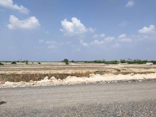 For sale land in Dan Khun Thot, Nakhon Ratchasima