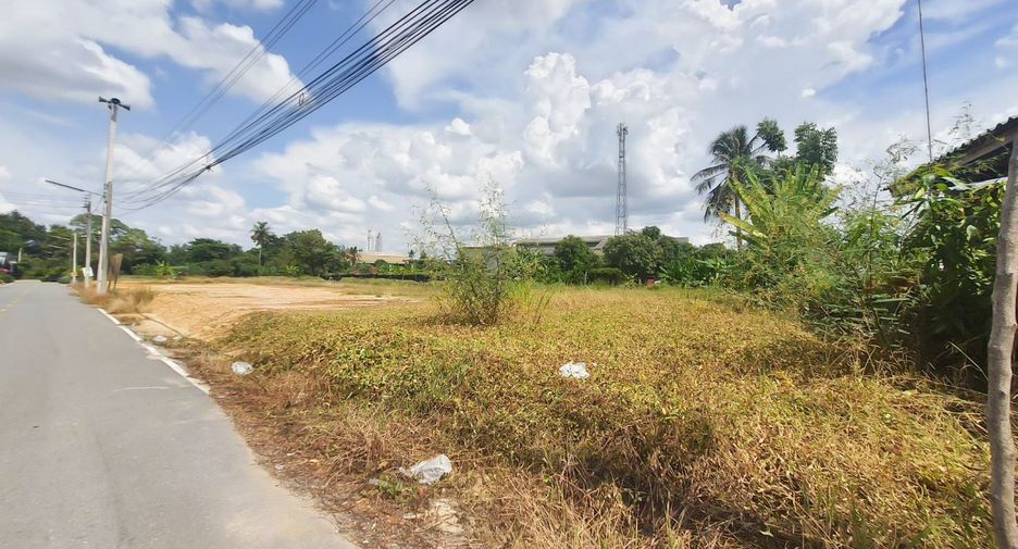 For rent land in Mueang Nakhon Pathom, Nakhon Pathom