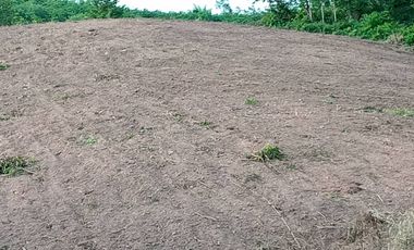 For sale land in Lom Kao, Phetchabun