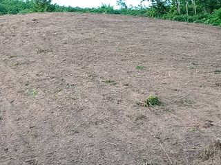Продажа Участок в Lom Kao, Phetchabun