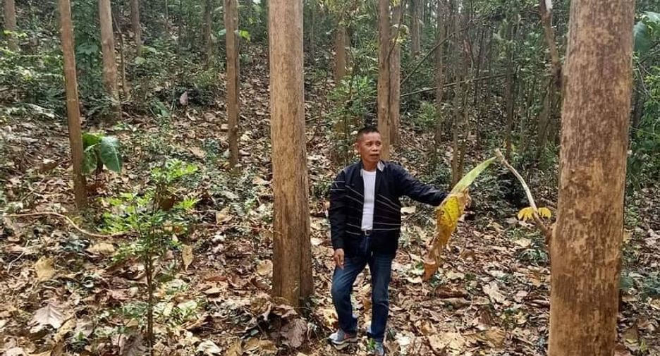 For sale land in Lom Kao, Phetchabun