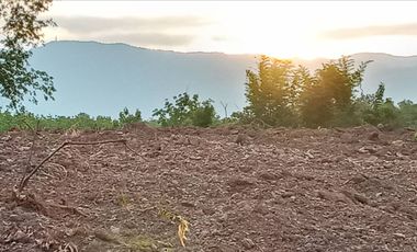 For sale land in Lom Kao, Phetchabun