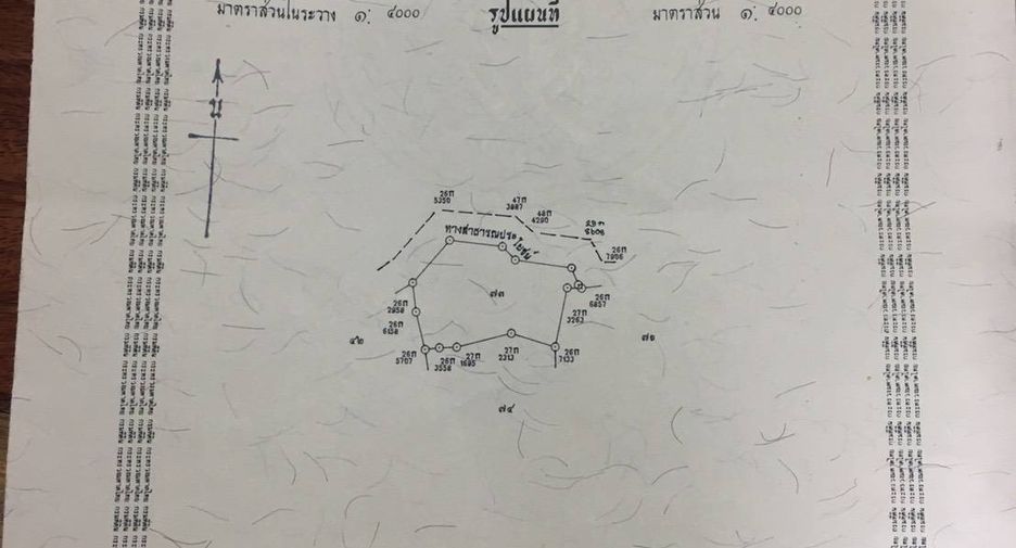 For sale land in Lom Kao, Phetchabun