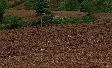 For sale land in Lom Kao, Phetchabun