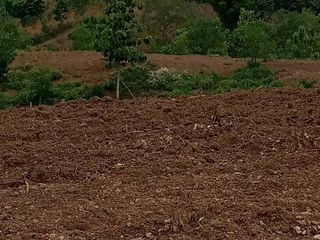Продажа Участок в Lom Kao, Phetchabun