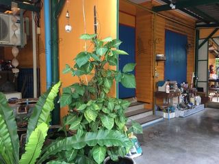 For sale 4 ベッドルーム house in Khlong San, Bangkok