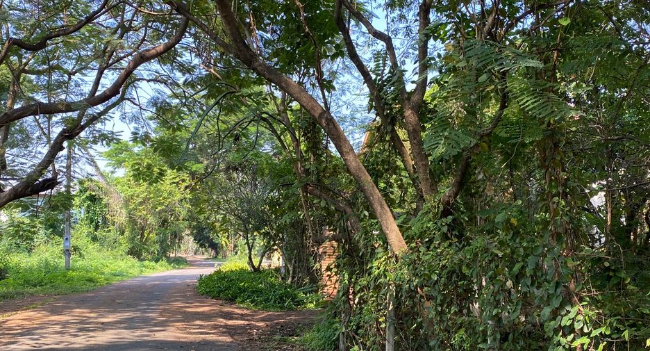 For sale 3 bedrooms house in Mueang Chiang Mai, Chiang Mai