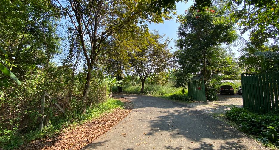For sale 3 bedrooms house in Mueang Chiang Mai, Chiang Mai