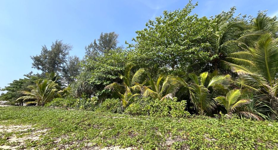 For sale land in Takua Thung, Phang Nga