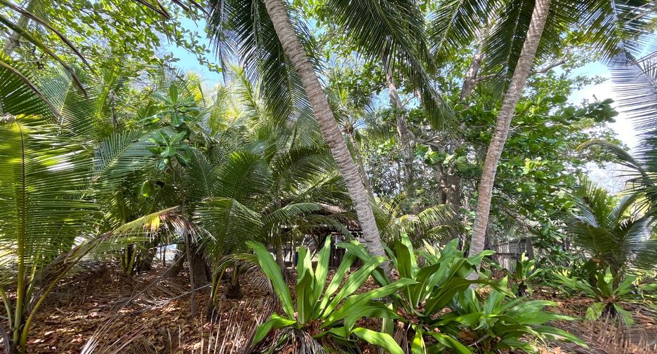 For sale land in Takua Thung, Phang Nga
