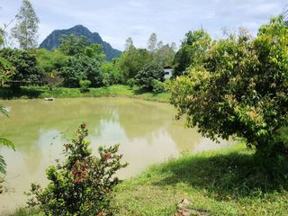 For sale 2 bed retail Space in Wang Saphung, Loei