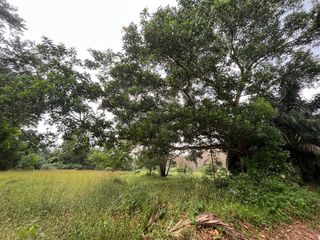 For sale land in Thai Mueang, Phang Nga