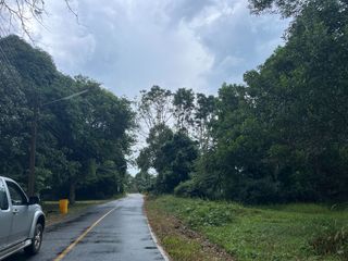 For sale land in Thai Mueang, Phang Nga