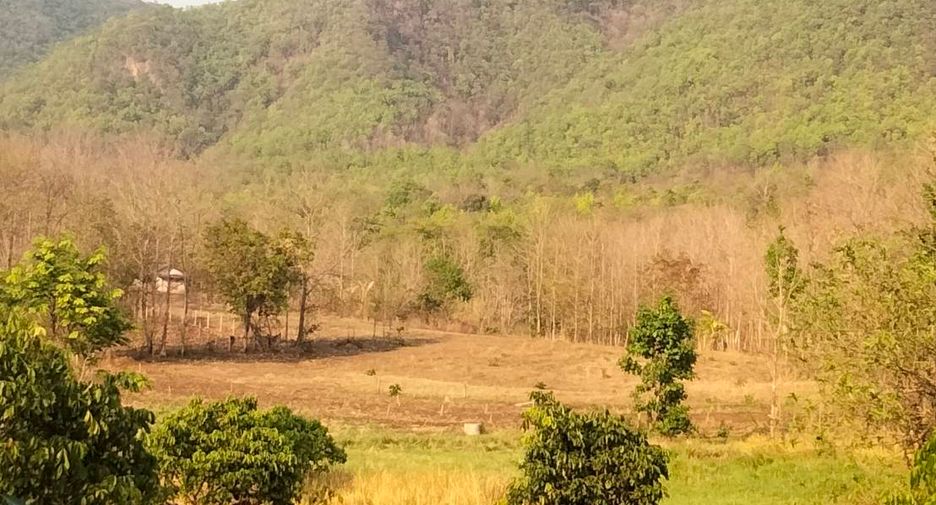 For sale land in Mae On, Chiang Mai