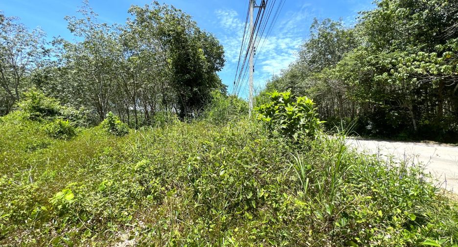 For sale land in Mueang Krabi, Krabi