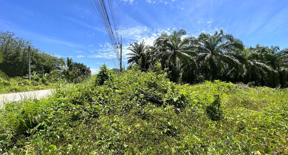 For sale land in Mueang Krabi, Krabi