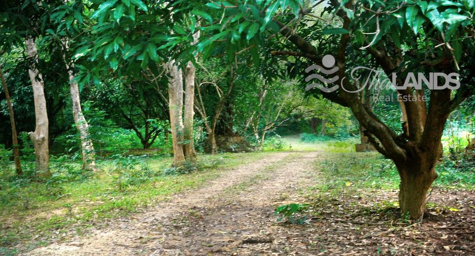 Grundstück zum Kauf in Si Sawat, Kanchanaburi