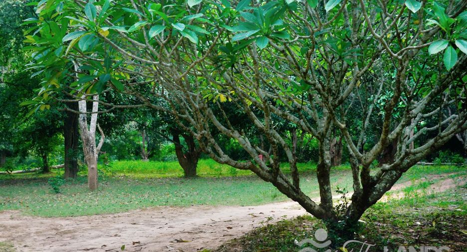 Grundstück zum Kauf in Si Sawat, Kanchanaburi