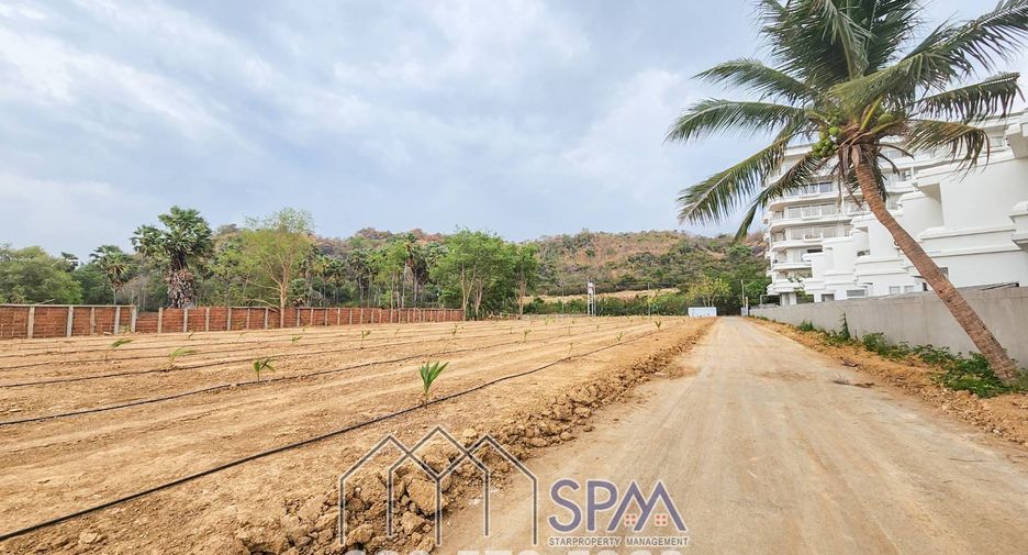 For sale land in Pran Buri, Prachuap Khiri Khan