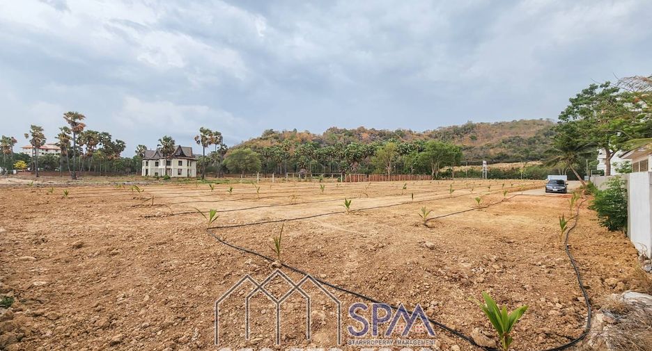 For sale land in Pran Buri, Prachuap Khiri Khan