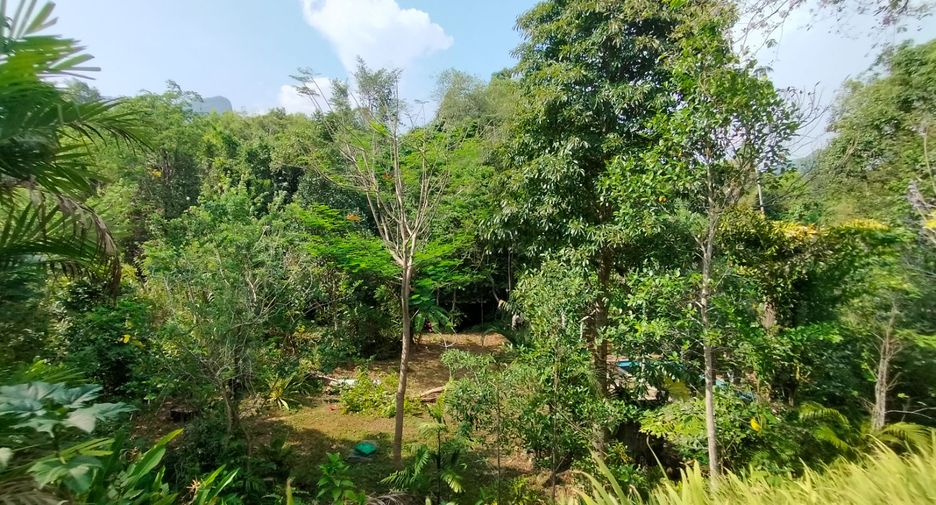 For sale 6 bed villa in Mueang Krabi, Krabi