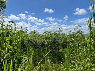 For sale land in Takua Thung, Phang Nga