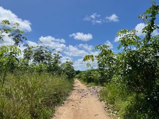 For sale land in Takua Thung, Phang Nga