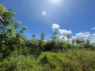 For sale land in Takua Thung, Phang Nga