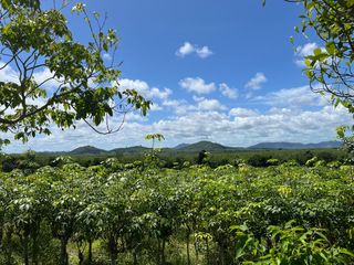For sale land in Takua Thung, Phang Nga