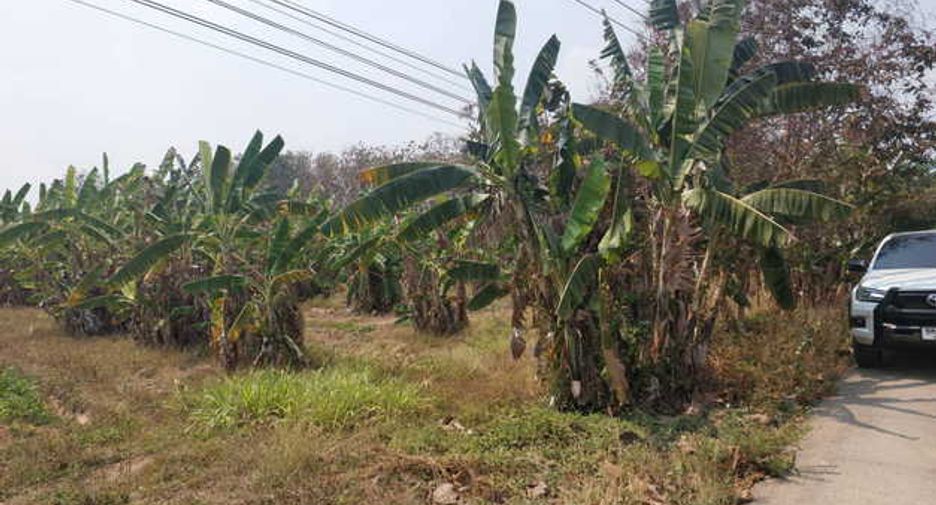 For sale land in Thung Saliam, Sukhothai