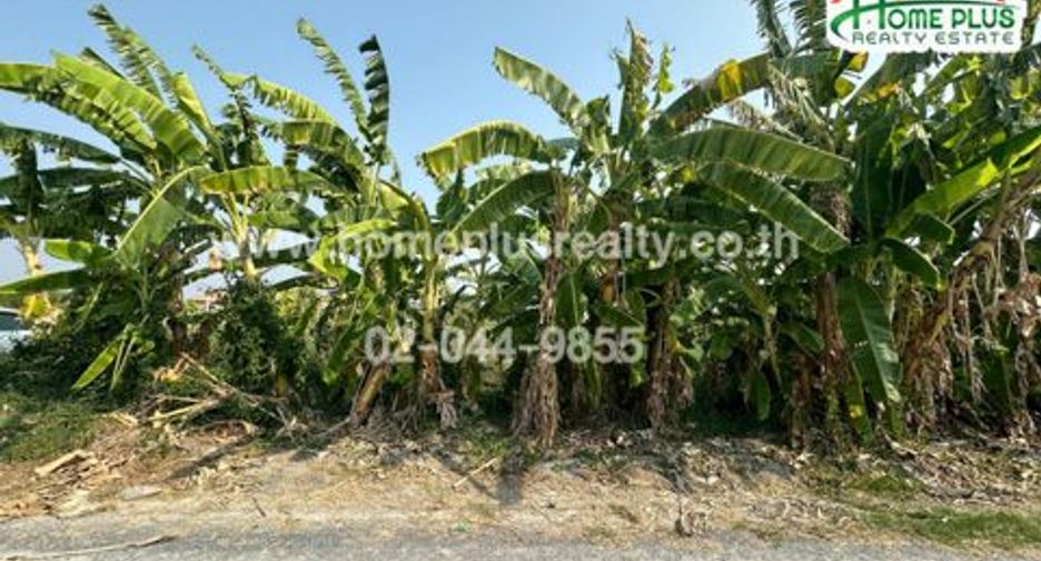 Grundstück zum Kauf in Phutthamonthon, Nakhon Pathom
