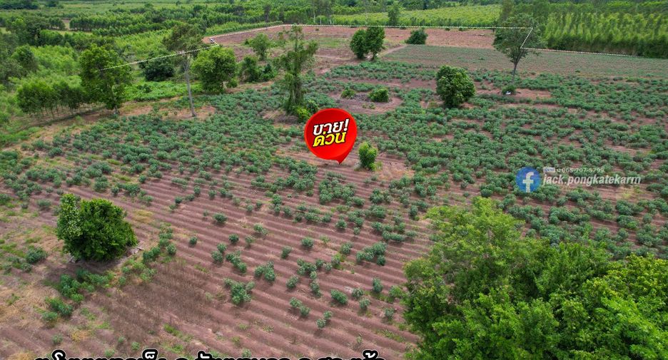 For sale land in Watthana Nakhon, Sa Kaeo