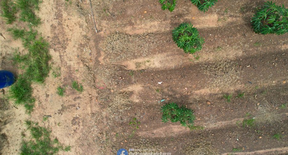 For sale land in Watthana Nakhon, Sa Kaeo