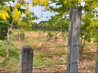 For sale land in Khlong Sam Wa, Bangkok