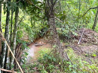 For sale land in Takua Thung, Phang Nga