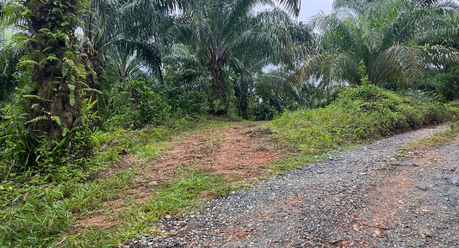 For sale land in Takua Thung, Phang Nga