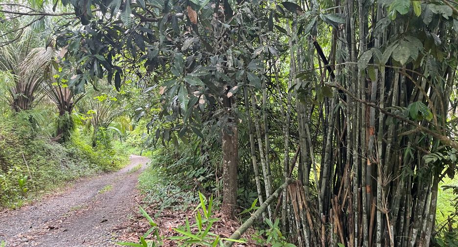 For sale land in Takua Thung, Phang Nga