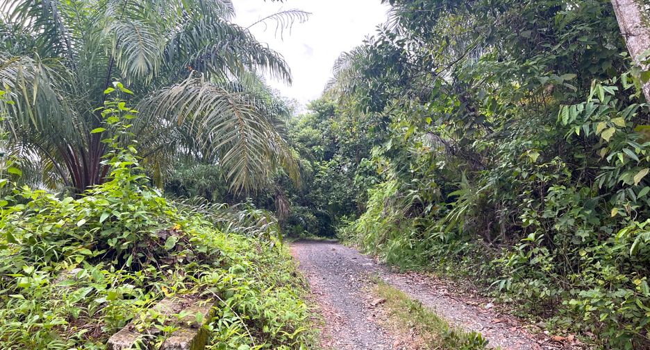 For sale land in Takua Thung, Phang Nga