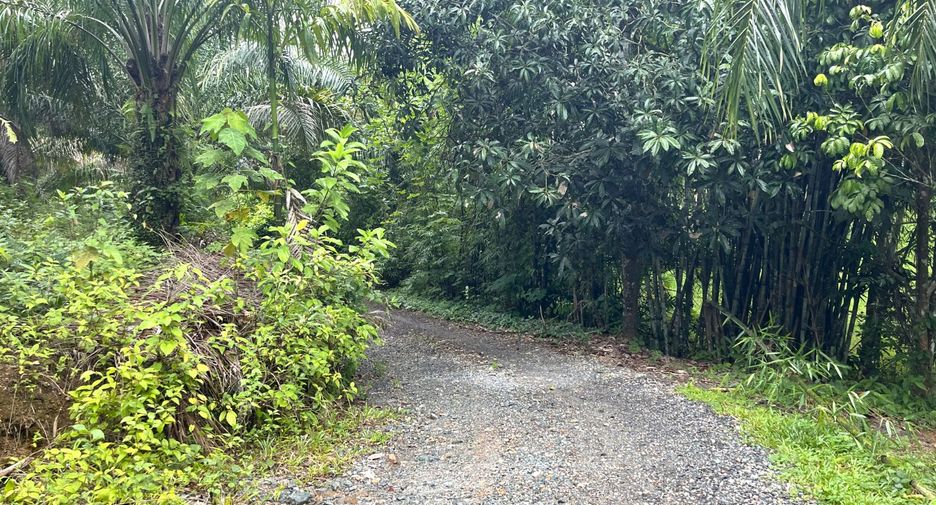 For sale land in Takua Thung, Phang Nga