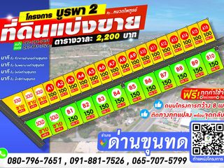 For sale land in Dan Khun Thot, Nakhon Ratchasima