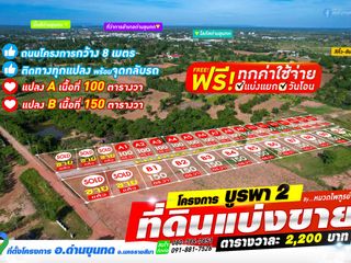 For sale land in Dan Khun Thot, Nakhon Ratchasima