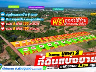 For sale land in Dan Khun Thot, Nakhon Ratchasima