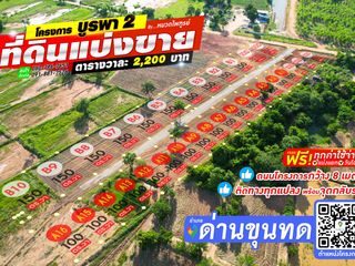 For sale land in Dan Khun Thot, Nakhon Ratchasima