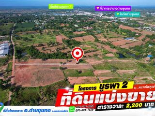 For sale land in Dan Khun Thot, Nakhon Ratchasima